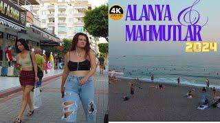Alanya Mahmutlar Street Full Tour 2024  JULY l Alanya Antalya Turkey Holiday Turkey Travel 4k Video