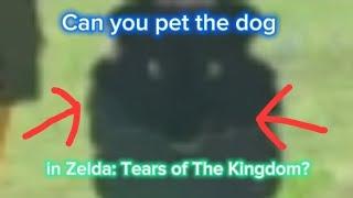 Can you pet dogs in Tears of The Kingdom?