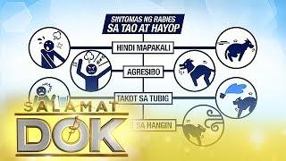 Salamat Dok Information about rabies