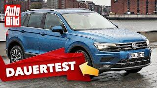 VW Tiguan 2020 Dauertest - SUV - Ratgeber - Info