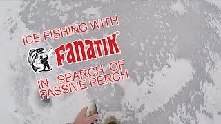 Ice Fishing — In search of passive Perch