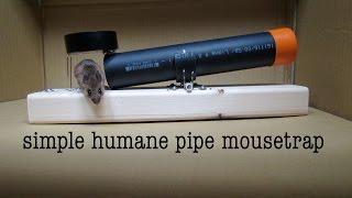 How to Make ● a Simple Tube Mousetrap   that works  