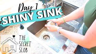 SHINY SINK  Day 1 - The Secret Slob
