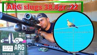 ARG slugs 38.6gr .22  termina en cocina  MONCHIS