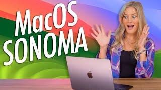 TOP MacOS SONOMA FEATURES