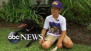 Boy Sneaks Into Neighbors Garage to Hug Dog