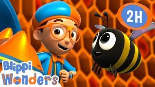 Honey  Blippi Wonders  Preschool Learning  Moonbug Tiny TV