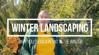 Winter Landscaping  Why you should plant in the winter  Planting in the winter in Fayetteville NC