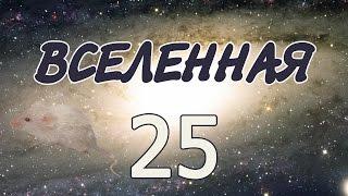 Эксперимент «Вселенная 25»