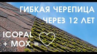 Гибкая черепица через 12 лет мох на крыше протечка? Лучшая кровля для дома Мягкая черепица Icopal