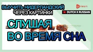 Выучить Нидерландский через картинки Нидерландский словарь Слушая во время сна  Golearn