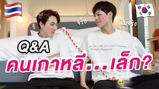 Q&A 18+ ผู้ชายเกาหลีเล็กมาก? ชอบทำร้ายร่างกาย? อยากได้อปป้าในผับต้องลูบหัว? 