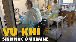 Thực hư thông tin phát triển vũ khí sinh học ở Ukraine