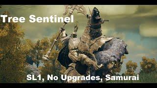 Elden Ring Tree Sentinel No Levels No Upgrades No Talismans Samurai