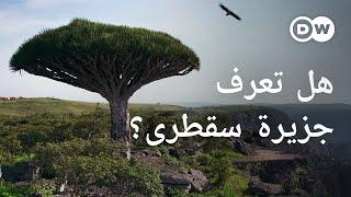 وثائقي  سقطرى اليمنية - جزيرة كنوز خضراء بين اليمن والصومال  وثائقية دي دبليو