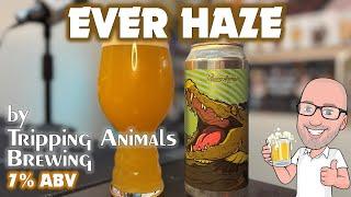 𝗘𝘃𝗲𝗿 𝗛𝗮𝘇𝗲 by 𝐓𝐫𝐢𝐩𝐩𝐢𝐧𝐠 𝐀𝐧𝐢𝐦𝐚𝐥𝐬 𝐁𝐫𝐞𝐰𝐢𝐧𝐠 criminally underrated hazy IPA?