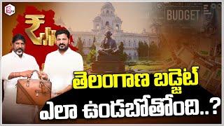 తెలంగాణ బడ్జెట్ ఎలా ఉండబోతోంది  Telangana Budget 2024-25  Special Debate On Pre-Budget #stv