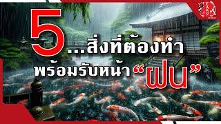 5 สิ่งต้องทำ เตรียมน้องปลาพร้อมรับหน้าฝน - Koi Talk EP. 86