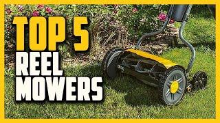 Top 5 Best Reel Mowers 2020