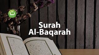 Juz 1 Surah Al Baqarah سورة البقرة - Abu Usamah ᴴᴰ  Tadabbur Daily