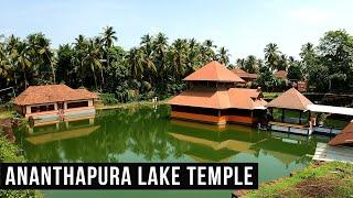 Ananthapura Lake Temple  Kasaragod Divine Crocodile Temple  Babiya