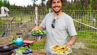 Summer Foraging & Cooking At The Cabin