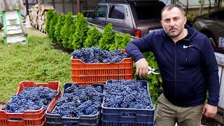 Homemade Wine from homemade Grapes  Food and Drinks by GEORGY KAVKAZ