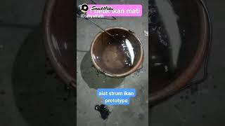 Setrum ikan 1 detik langsung mati 