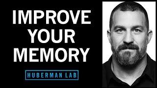 Understand & Improve Memory Using Science-Based Tools  Huberman Lab Podcast #72