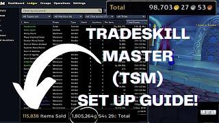 TradeSkillMaster TSM Set up GUIDE WOTLK and RETAIL