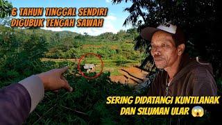 Merinding  Bertahan hidup sendiri ditengah hutan meski sering diganggu mahkluk halus