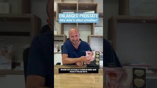 Steinberg Urology Enlarged Prostate why does it affect urination?