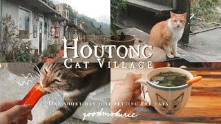  vlog  CAT VILLAGE IN TAIWAN a day trip away just to play with the cats 