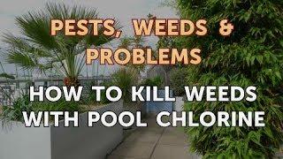 How to Kill Weeds With Pool Chlorine