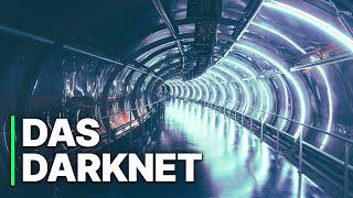 Das Darknet  Illegale Aktivitäten  Doku HD