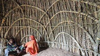 House of a Thousand Knots - the Bentwood Architecture of the Orma Women Builders.