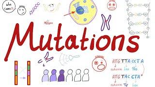 Types of Mutations  Changes in the Gene Pool  Genetic Drift  Biology 