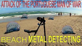 Attack of The Portuguese Man of War Beach Metal Detecting.