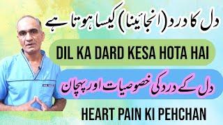 DIL KA DARD KESA HOTA HAI HEART PAIN KI PEHCHAN by Dr Muhammad Khaleel Iqbal in Urdu  Hindi