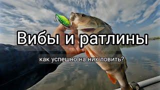 Как ловить на ратлины и вибы спиннингом? Эффективная проводка.