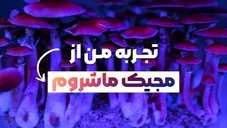 تجربه من از مصرف مجیک ماشروم Magic mushroom