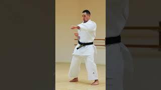 Shotokan Karate Punches EXPERT SPEED