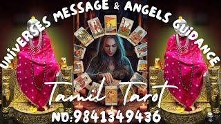 Thursday sai baba blessingsNEXT ACTION money relationships career  TAROT COURSE NEXT BATCH