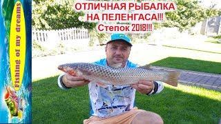 Отличная рыбалка на пеленгасаСтепок 201817.09.2018г.