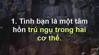 Những câu nói có thể thay đổi cuộc đời bạn