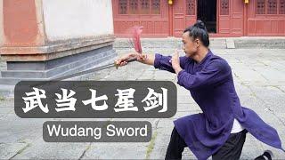 Wudang Kung Fu Sword  武当七星剑