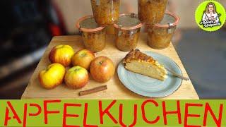 Apfelkuchen im Glas haltbar machen - viel Apfel und wenig Teig super saftig und lecker