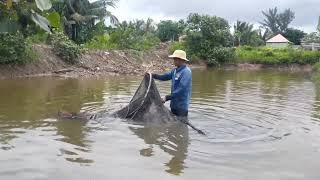 Trời mưa bão kéo dài lội giặt giũ cái đục để đặt kiếm cá tôm ăn vào mùa mưa bão