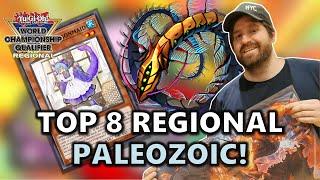 Top 8 Antwerpen Belgium Regional Paleozoic Trap Deck Profile Ft. Youri Lansman AGAIN