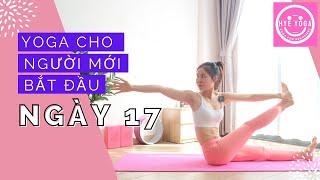 Yoga Cho Người Mới Bắt Đầu  Ngày 17